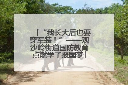 “我长大后也要穿军装！”——观沙岭街道国防教育点燃学子报国梦