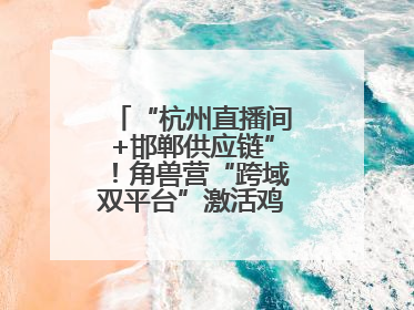 “杭州直播间+邯郸供应链”！角兽营“跨域双平台”激活鸡泽产业新动能