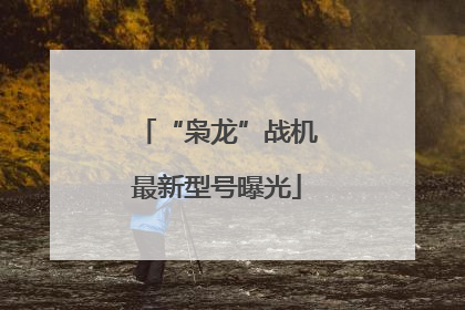 “枭龙”战机最新型号曝光