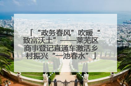 “政务春风”吹暖“致富沃土”——莱芜区商事登记直通车激活乡村振兴“一池春水”