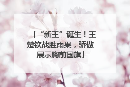 “新王”诞生！王楚钦战胜雨果，骄傲展示胸前国旗