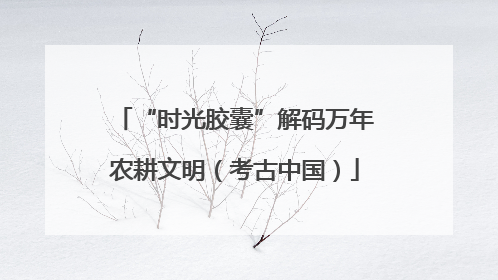 “时光胶囊”解码万年农耕文明（考古中国）