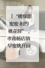 “桃缘甜蜜蜜·相约桃花驿”，孝南杨店镇早蜜桃开园
