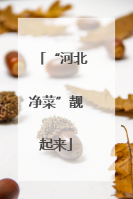 “河北净菜”靓起来