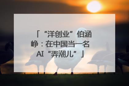 “洋创业”伯涵峥：在中国当一名AI“弄潮儿”
