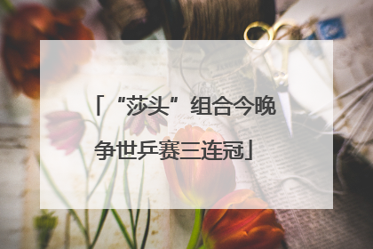 “莎头”组合今晚争世乒赛三连冠