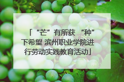 “芒”有所获 “种”下希望 滨州职业学院进行劳动实践教育活动