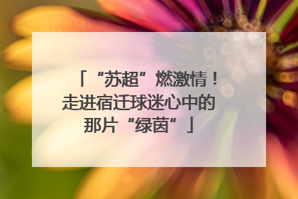 “苏超”燃激情！走进宿迁球迷心中的那片“绿茵”