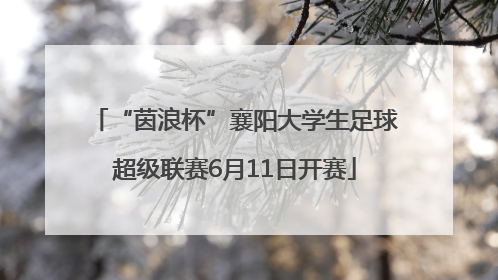 “茵浪杯”襄阳大学生足球超级联赛6月11日开赛