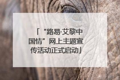 “路易·艾黎中国情”网上主题宣传活动正式启动