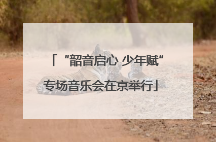 “韶音启心 少年赋”专场音乐会在京举行