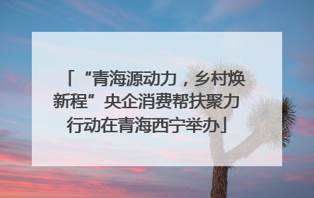 “青海源动力，乡村焕新程”央企消费帮扶聚力行动在青海西宁举办