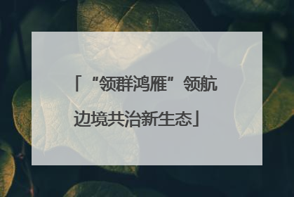 “领群鸿雁”领航边境共治新生态