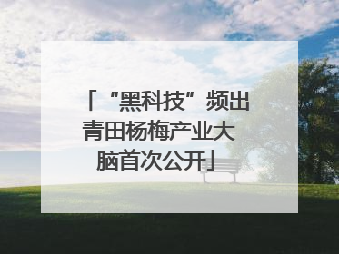 “黑科技”频出 青田杨梅产业大脑首次公开