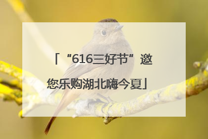 “616三好节”邀您乐购湖北嗨今夏