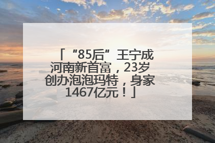 “85后”王宁成河南新首富，23岁创办泡泡玛特，身家1467亿元！