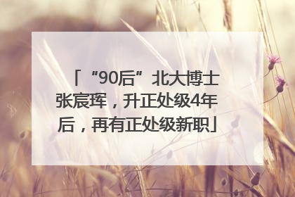 “90后”北大博士张宸珲，升正处级4年后，再有正处级新职
