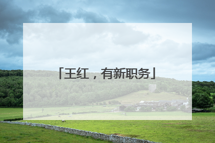 王红，有新职务