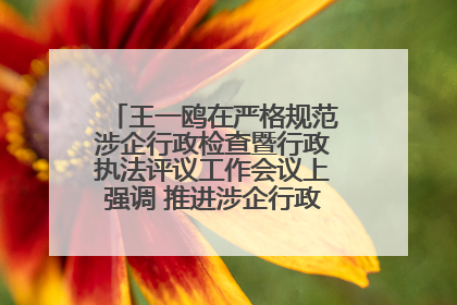王一鸥在严格规范涉企行政检查暨行政执法评议工作会议上强调 推进涉企行政检查质效大幅提升