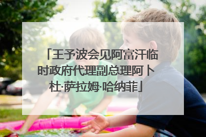 王予波会见阿富汗临时政府代理副总理阿卜杜·萨拉姆·哈纳菲