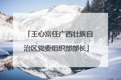 王心富任广西壮族自治区党委组织部部长