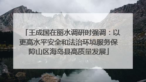王成国在丽水调研时强调：以更高水平安全和法治环境服务保障山区海岛县高质量发展