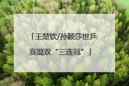 王楚钦/孙颖莎世乒赛混双“三连冠”