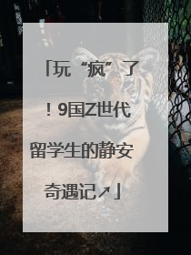玩“疯”了！9国Z世代留学生的静安奇遇记↗