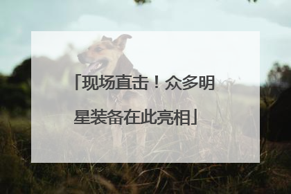 现场直击！众多明星装备在此亮相