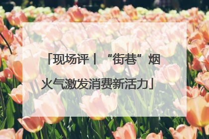 现场评丨“街巷”烟火气激发消费新活力