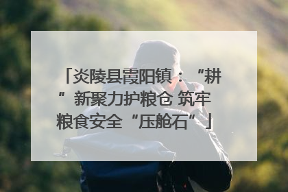 炎陵县霞阳镇：“耕”新聚力护粮仓 筑牢粮食安全“压舱石”