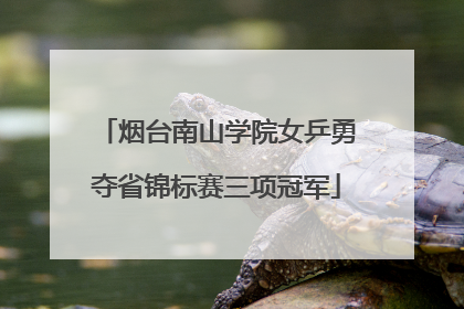 烟台南山学院女乒勇夺省锦标赛三项冠军