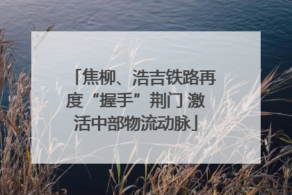 焦柳、浩吉铁路再度“握手”荆门 激活中部物流动脉