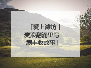 爱上潍坊丨麦浪翻涌里写满丰收故事