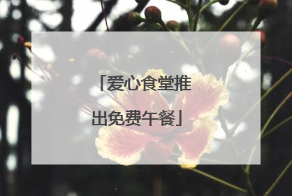 爱心食堂推出免费午餐