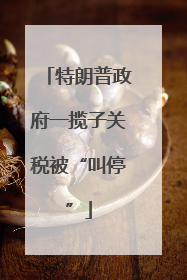 特朗普政府一揽子关税被“叫停”