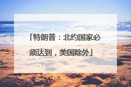 特朗普：北约国家必须达到，美国除外