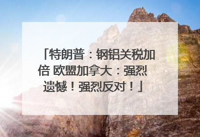 特朗普：钢铝关税加倍 欧盟加拿大：强烈遗憾！强烈反对！