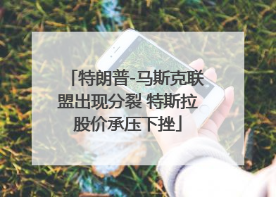 特朗普-马斯克联盟出现分裂 特斯拉股价承压下挫