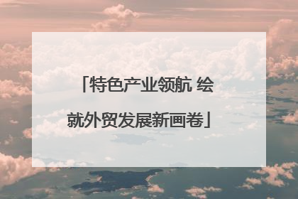 特色产业领航 绘就外贸发展新画卷