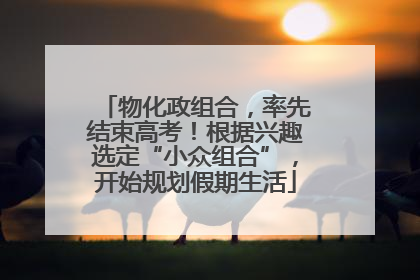 物化政组合，率先结束高考！根据兴趣选定“小众组合”，开始规划假期生活