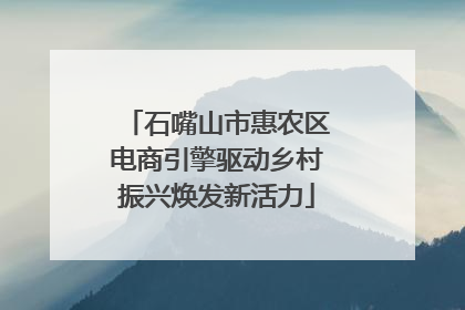 石嘴山市惠农区电商引擎驱动乡村振兴焕发新活力