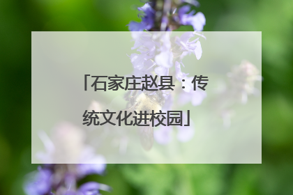 石家庄赵县：传统文化进校园