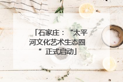 石家庄：“太平河文化艺术生态圈”正式启动