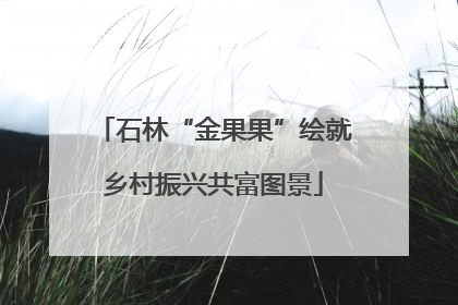 石林“金果果”绘就乡村振兴共富图景