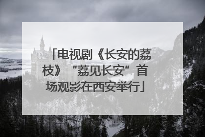 电视剧《长安的荔枝》“荔见长安”首场观影在西安举行