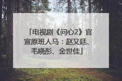 电视剧《问心2》官宣原班人马：赵又廷、毛晓彤、金世佳