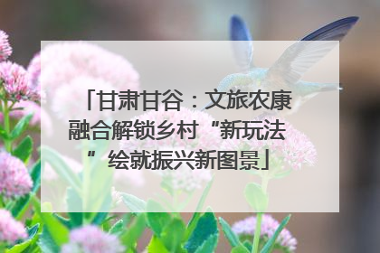 甘肃甘谷：文旅农康融合解锁乡村“新玩法”绘就振兴新图景
