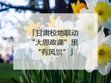 甘肃校地联动“大思政课”里“有风景”