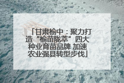 甘肃榆中：聚力打造“榆苗陇萃”四大种业育苗品牌 加速农业强县转型步伐